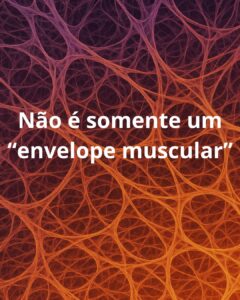 fascia não é envelopa