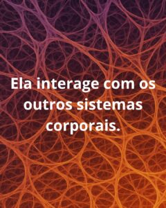 interage com sistemas