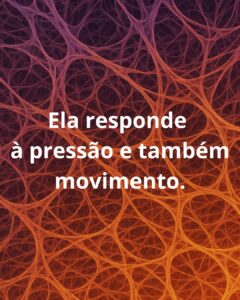 responde a pressao e mov